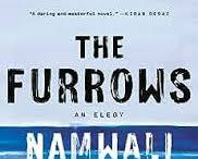 Book The Furrows by Namwali Serpell