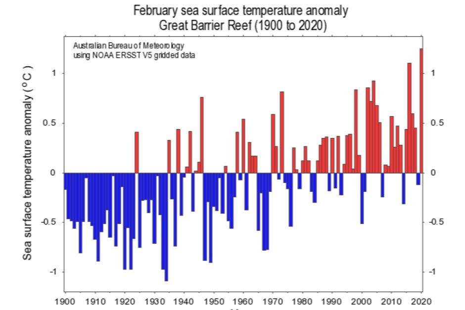 A graph showing sea temperatures in February around the Great Barrier Reef were the warmest on record