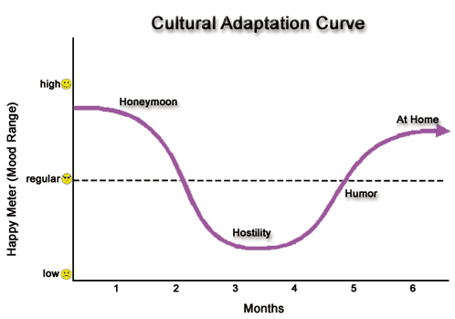 Questioning the Validity of “The 4 Stages of Cultural Adjustment”