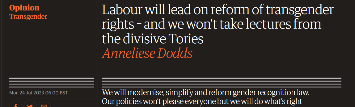 Anneliese Dodds' headline in the Guardian