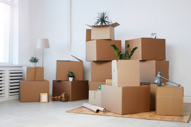 moving from fort lauderdale to lauderdale lakes, local movers