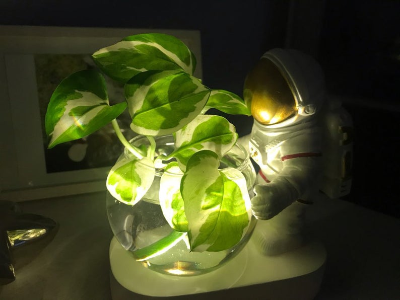 astronaut  light up flower vase with plant