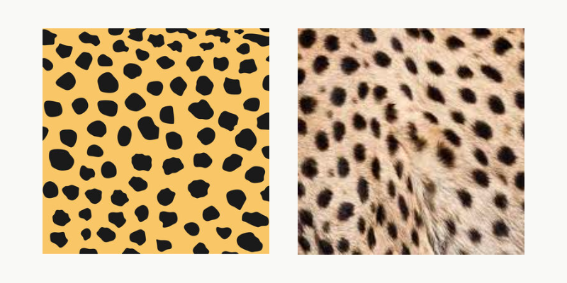 Leopard vs. Cheetah Print - What's the Difference? - Fancy Walls