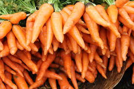 Image result for carrot