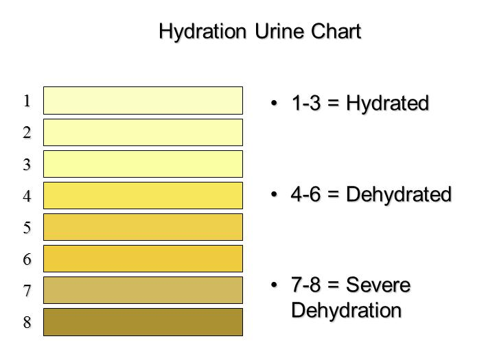 Hydration urine chart based on color of urine