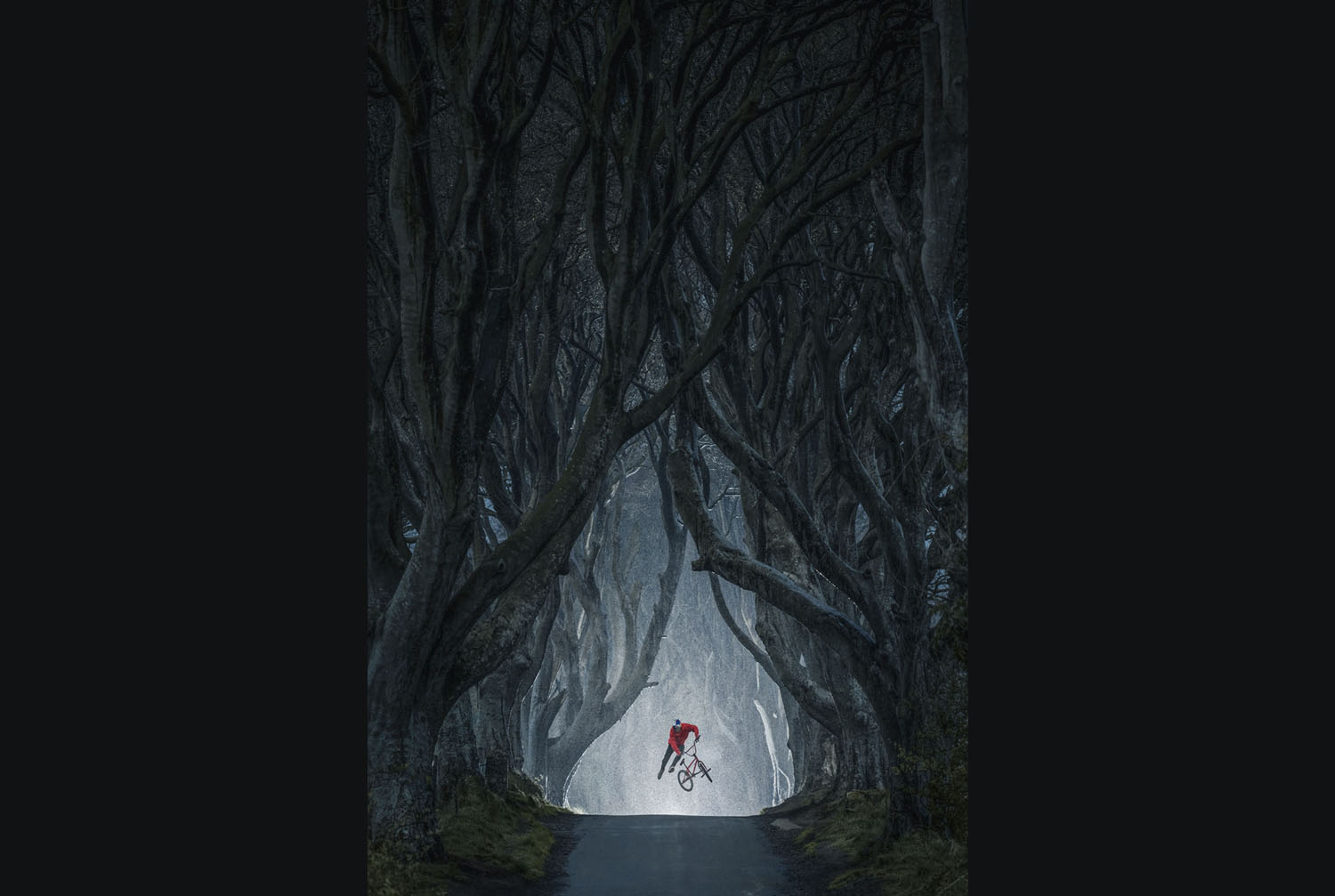 Ganadores del concurso de fotografía de RedBull.