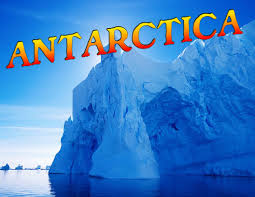 Image result for cool antarctica