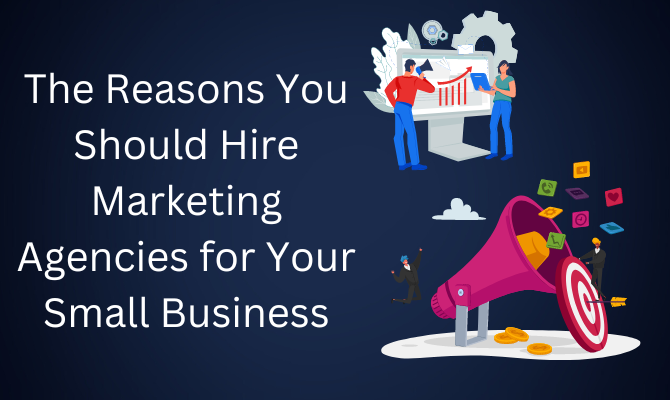 The Reasons You Should Hire Marketing Agencies for Your Small Business