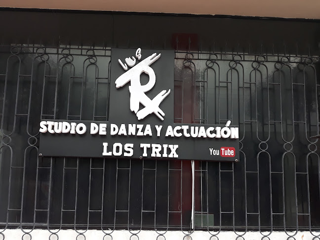Opiniones de Studio De Danza Y Actuación Los Trix en Guayaquil - Escuela de danza