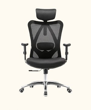 Sihoo Ergonomic Chair M-18