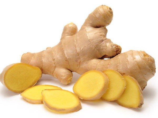 lý do nên chọn dầu gội thảo dược làm sạch gàu gừng dừa hữu cơ cỏ cây hoa lá