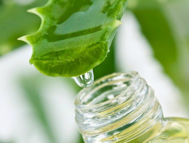 Zumo de aloe vera. Beber el jugo y sus sus propiedades