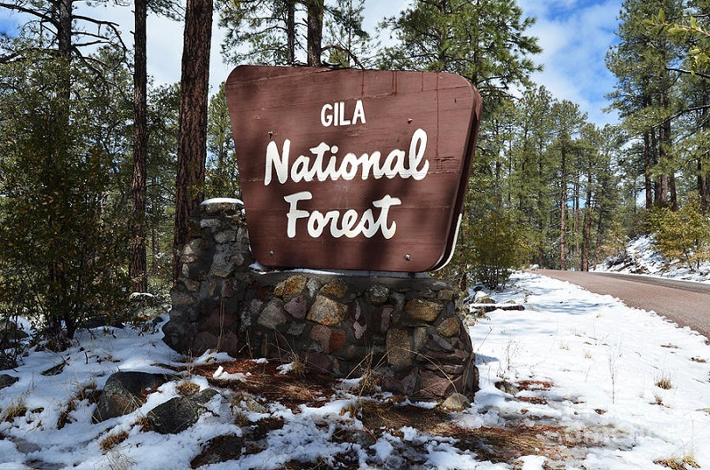 Gila National Forest, New Mexico