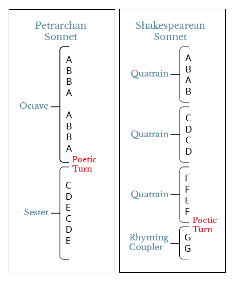 Sonnets | Poetry | The Nature of Writing