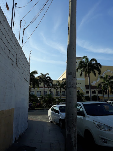 Viandante Agencia de Viajes S.A. - Guayaquil