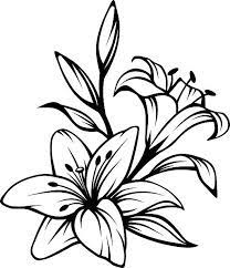 75,300+ Lily Flower Illustrations, Royalty-Free Vector Graphics & Clip Art  - iStock | Lily flower vector, Water lily flower, Lily flower background