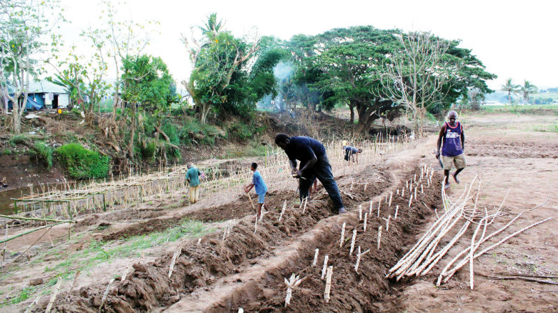 What we can learn from disaster risk reduction efforts in small islands