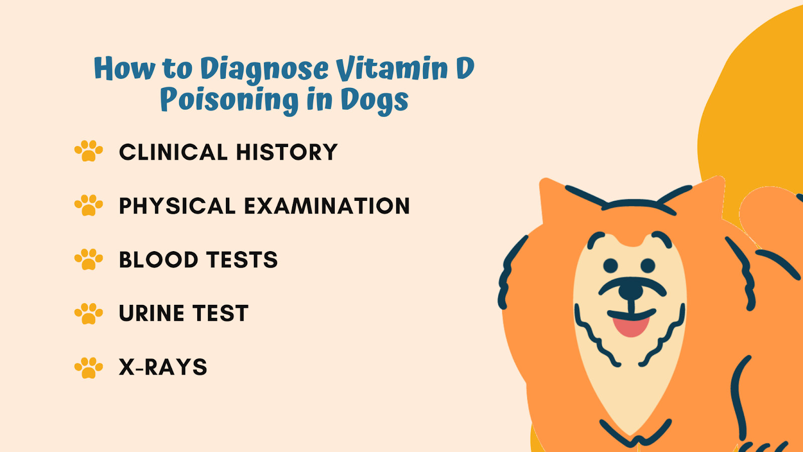 How to diagnose vitamin D poisoning in dogs