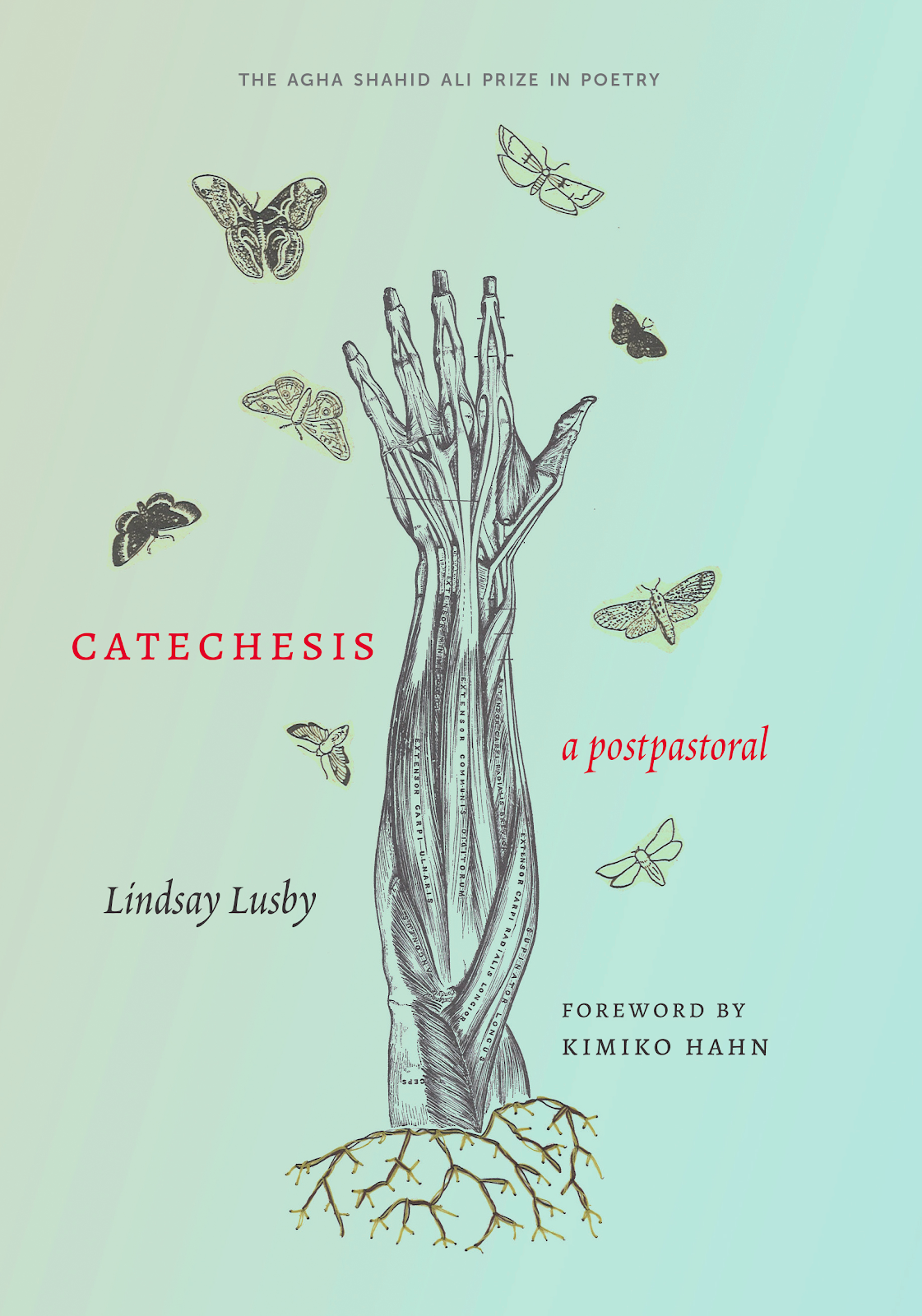 Cover of "Catechesis" by Lindsay Lusby: an anatomical drawing of the muscles of a hand and forearm, surrounded by butterflies.