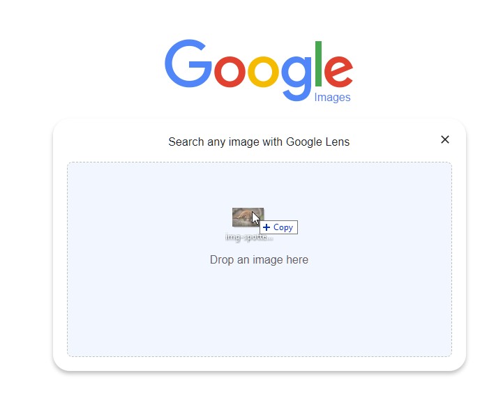 How do I Google Image Search without Lens?