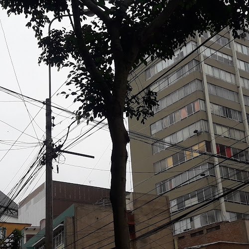 C. San Martin 173, Miraflores 15074, Perú