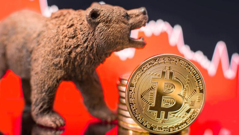 How to Survive in a Bitcoin Bear Market? Here are the Tips! - TechnoPixel