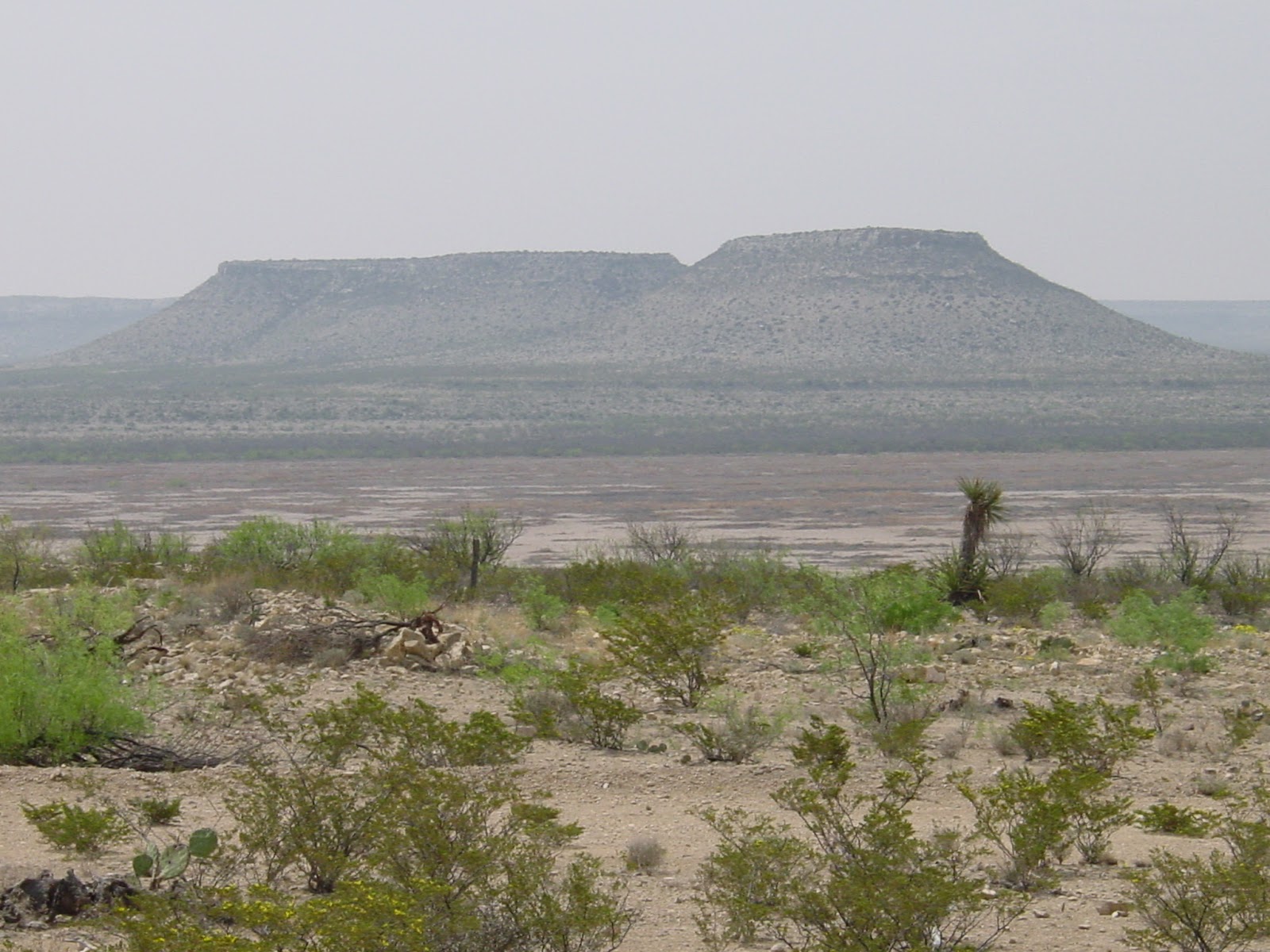 A desert mesa in the distance, dull green scrub brush in the foreground. 