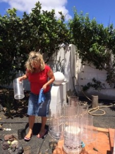 Lanzarote Saturn Bubbler