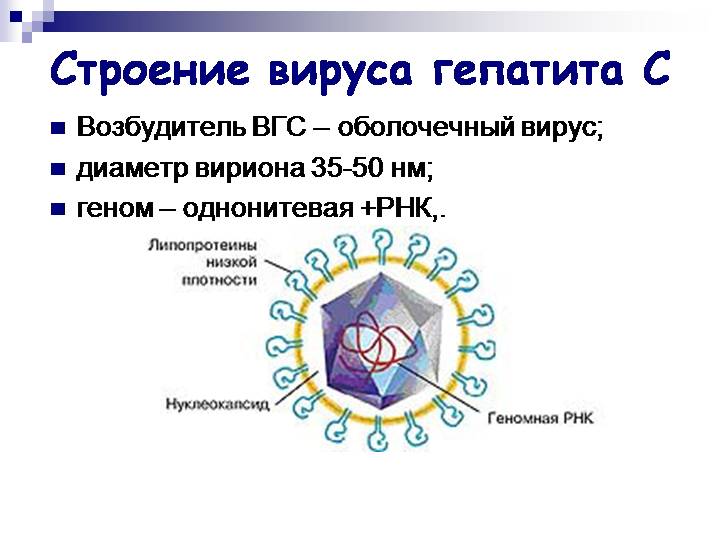 Доклад: Гепатит В. Антигены и антитела