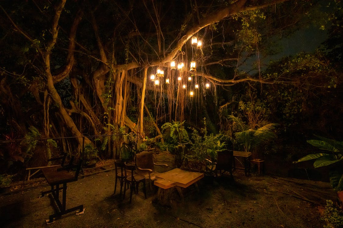 Landscape lighting: the pros and cons