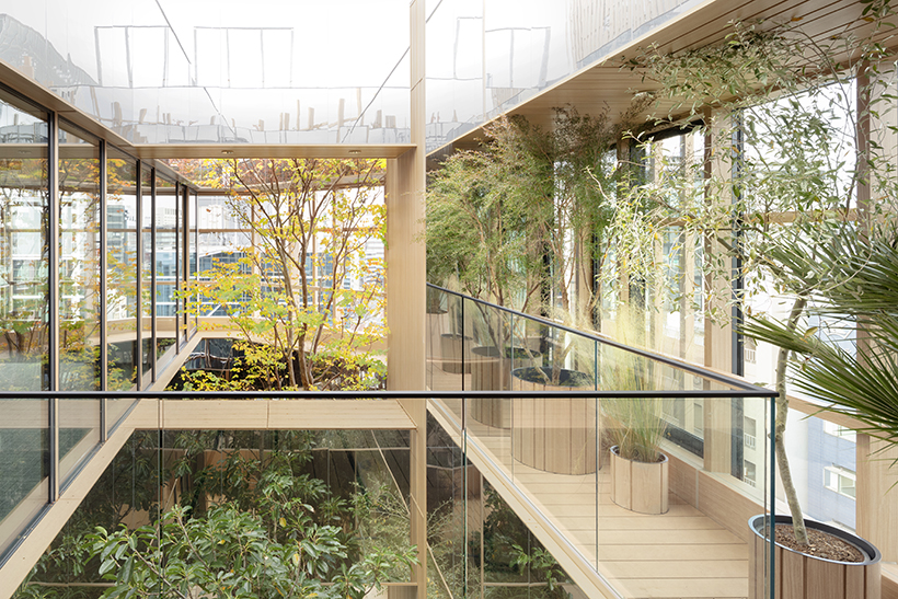 Light and space in biophilic design