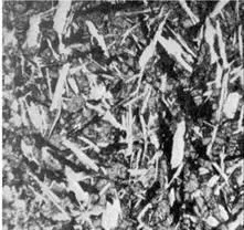 C:\Documents and Settings\Олег\Рабочий стол\5 часть 6.files\image005.jpg