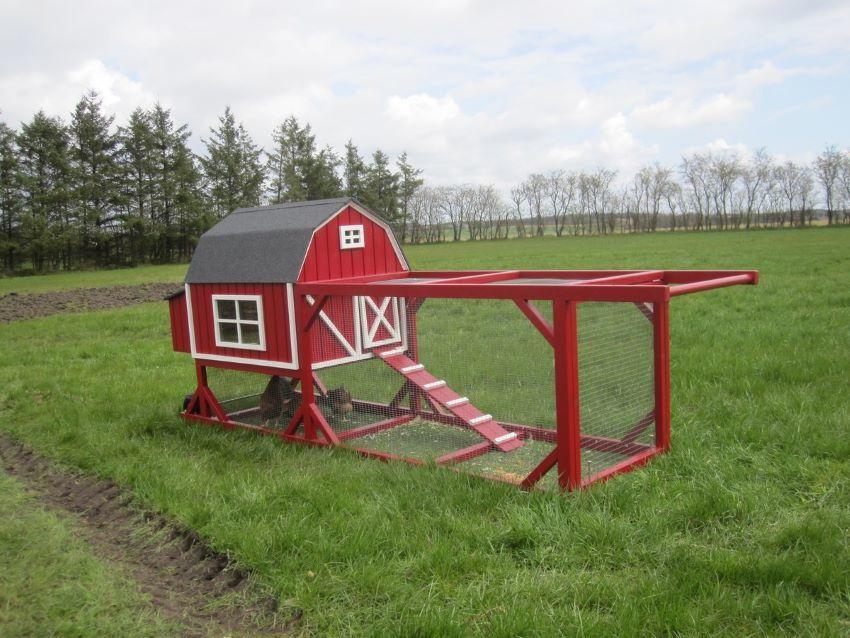 barn chicken tracktor