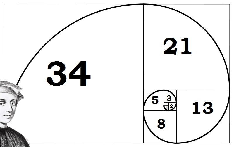 Fibonacci Spiral