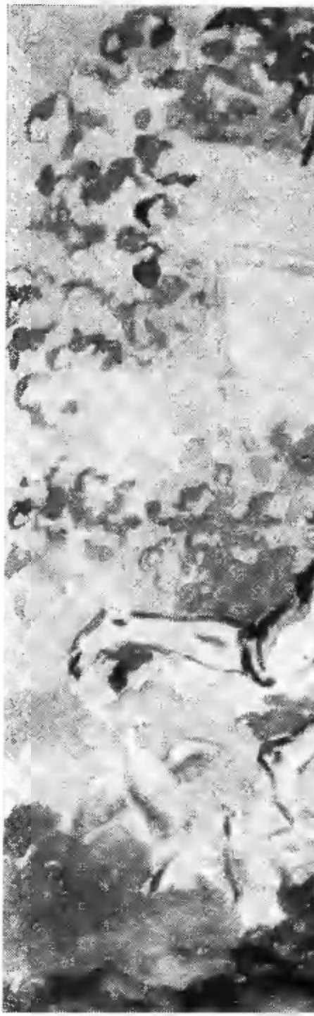 https://lh3.googleusercontent.com/unEk-VubZLxmieCR8ro_tcTtGuXyASECGpEDiDpoVPUzPaTzjQUSDeicfJeI0C2Byuy3E48dJdZycUKD3zCj0fksLdeOdCg4eJC7y0wHRVEVE6ReW0MI_bnOQZv-WY_EMCaLVZVqJoLdhRZdMn8f