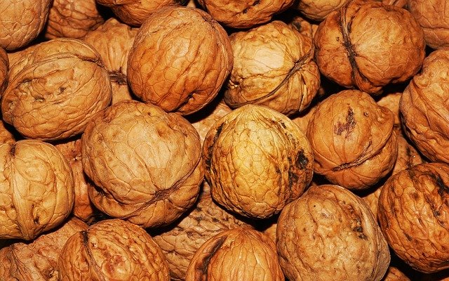 walnut scientific name