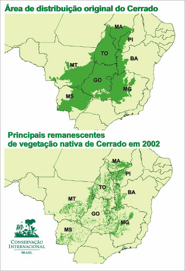 Mapa comparativo entre as áreas originais e a vegetação remanescente do Cerrado ²
