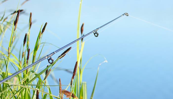 Pros and Cons of Telescopic Fishing Rods