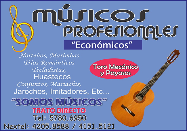 MUSICOS PROFESIONALES
