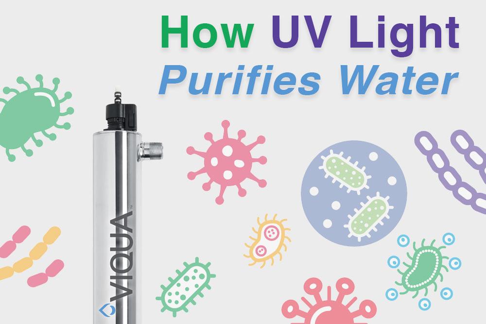 How UV Light Purifies Water