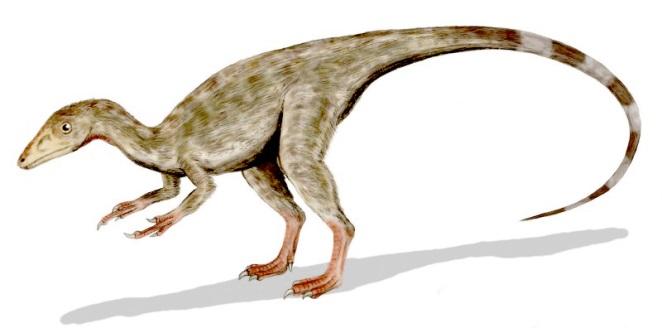 Resultado de imagen de compsognathus