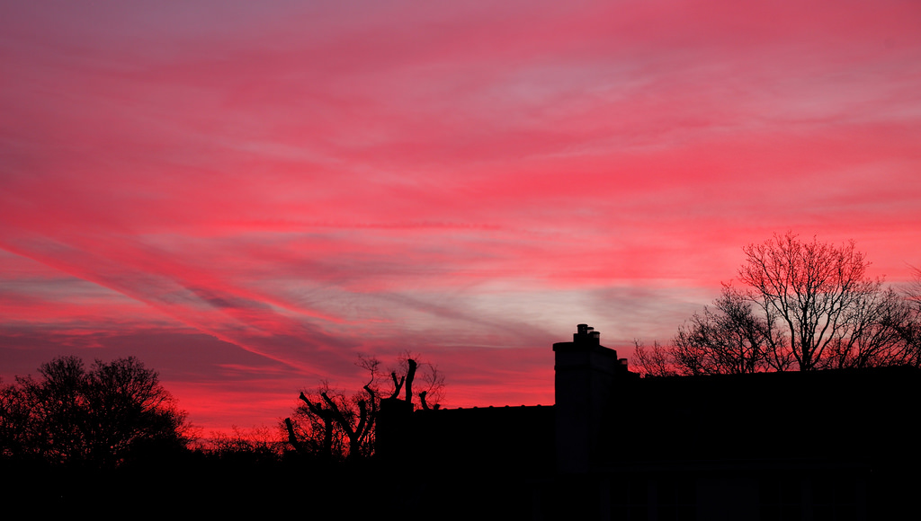 Bright pink sky at dawn with silhouette of buildings and trees.