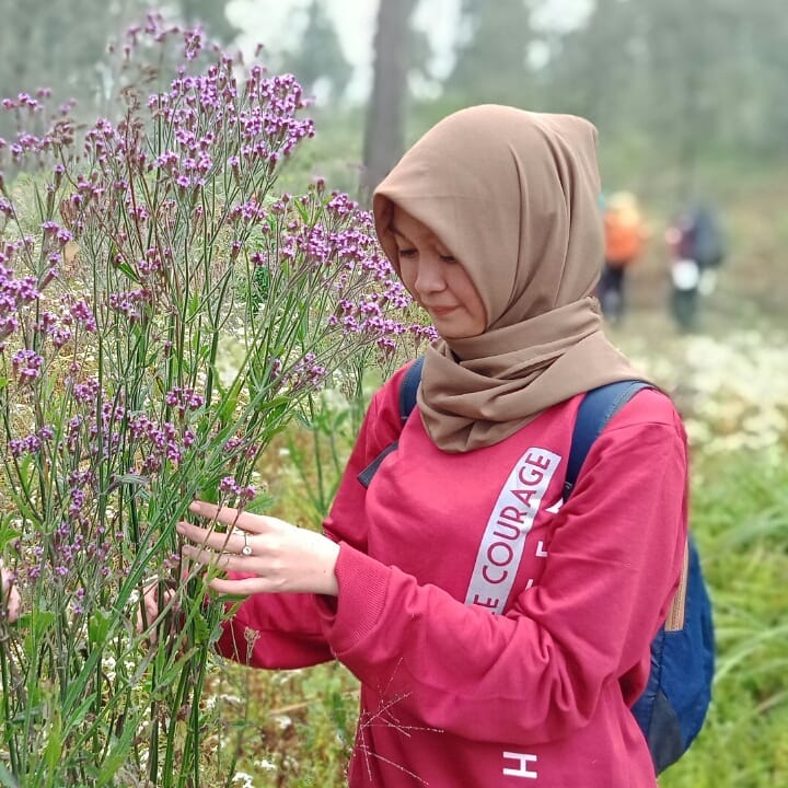 oro oro ombo gunung semeru