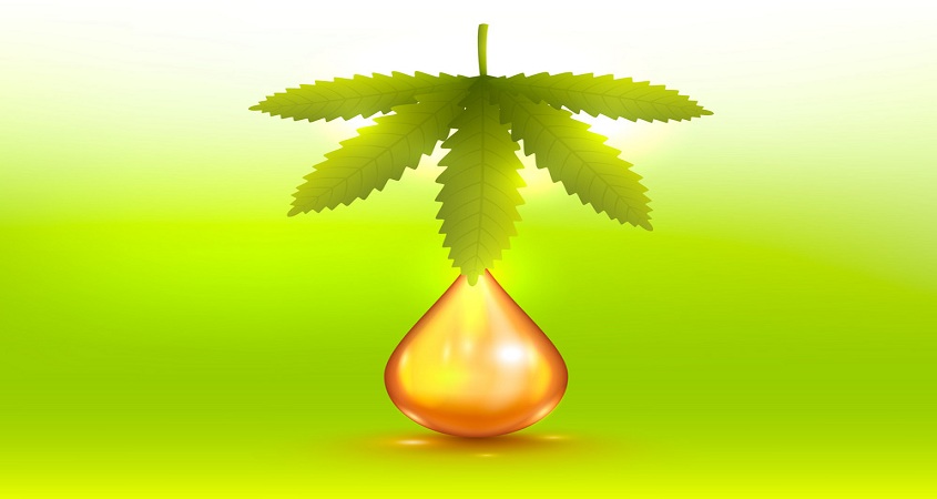 Feuille de Cannabis CBD Ingrédient Cosmétique - CBD Info