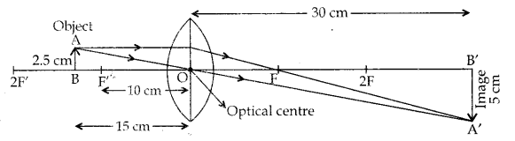 cbse-previous-year-question-papers-class-10-science-sa2-outside-delhi-2016-15