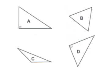 O triângulo obtusângulo está representado pela letra:
