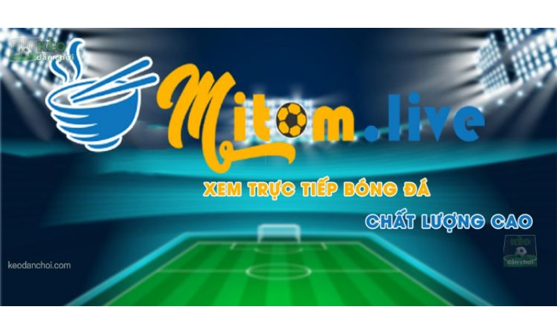 Mitom2 - Trang web xem bóng đá trực tuyến siêu chất lượng trong cuộc sống hiện đại ngày nay