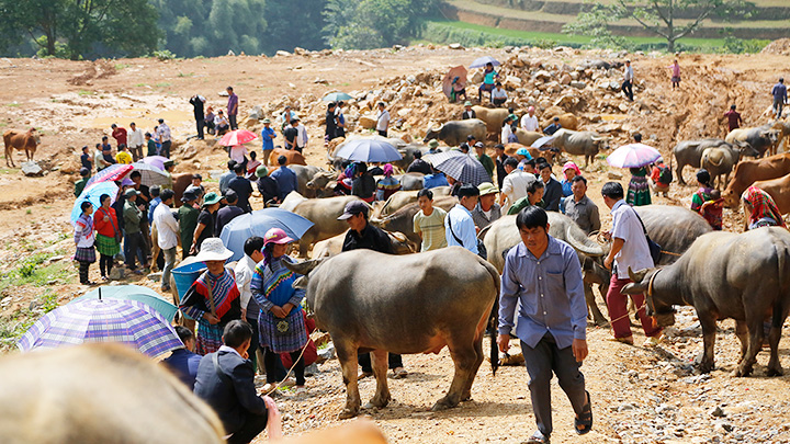 Can Cau market of ethnic people in North Vietnam
