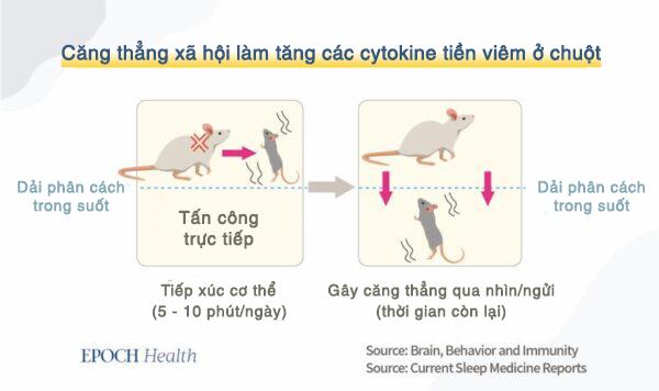 Trung Cộng đã khiến virus phát triển lan tràn như thế nào?