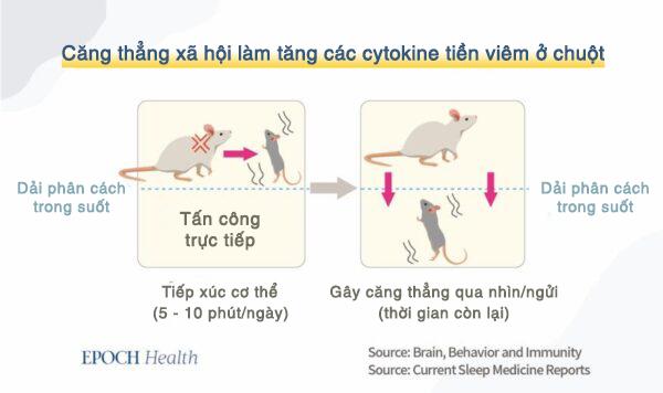 Trung Cộng đã khiến virus phát triển lan tràn như thế nào?